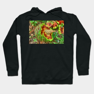 Hoop Pine Fruit Patterns Hoodie